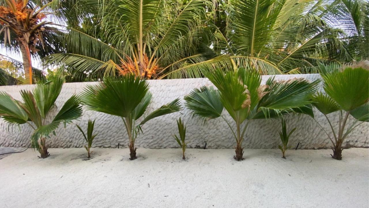Oasis Village Fenfushi, Maldives Luaran gambar