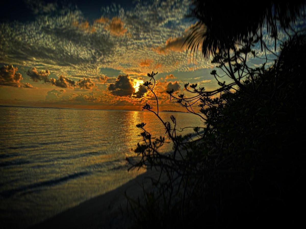 Oasis Village Fenfushi, Maldives Luaran gambar