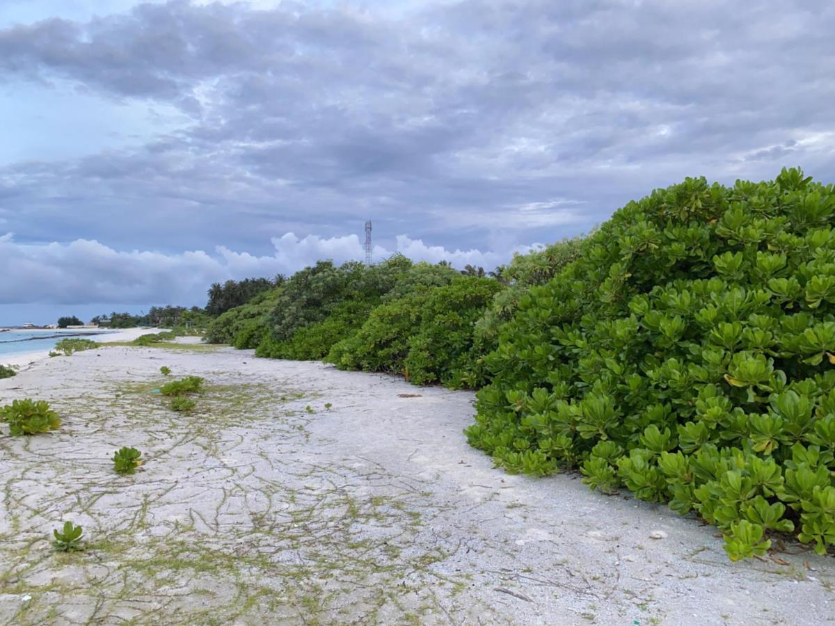 Oasis Village Fenfushi, Maldives Luaran gambar