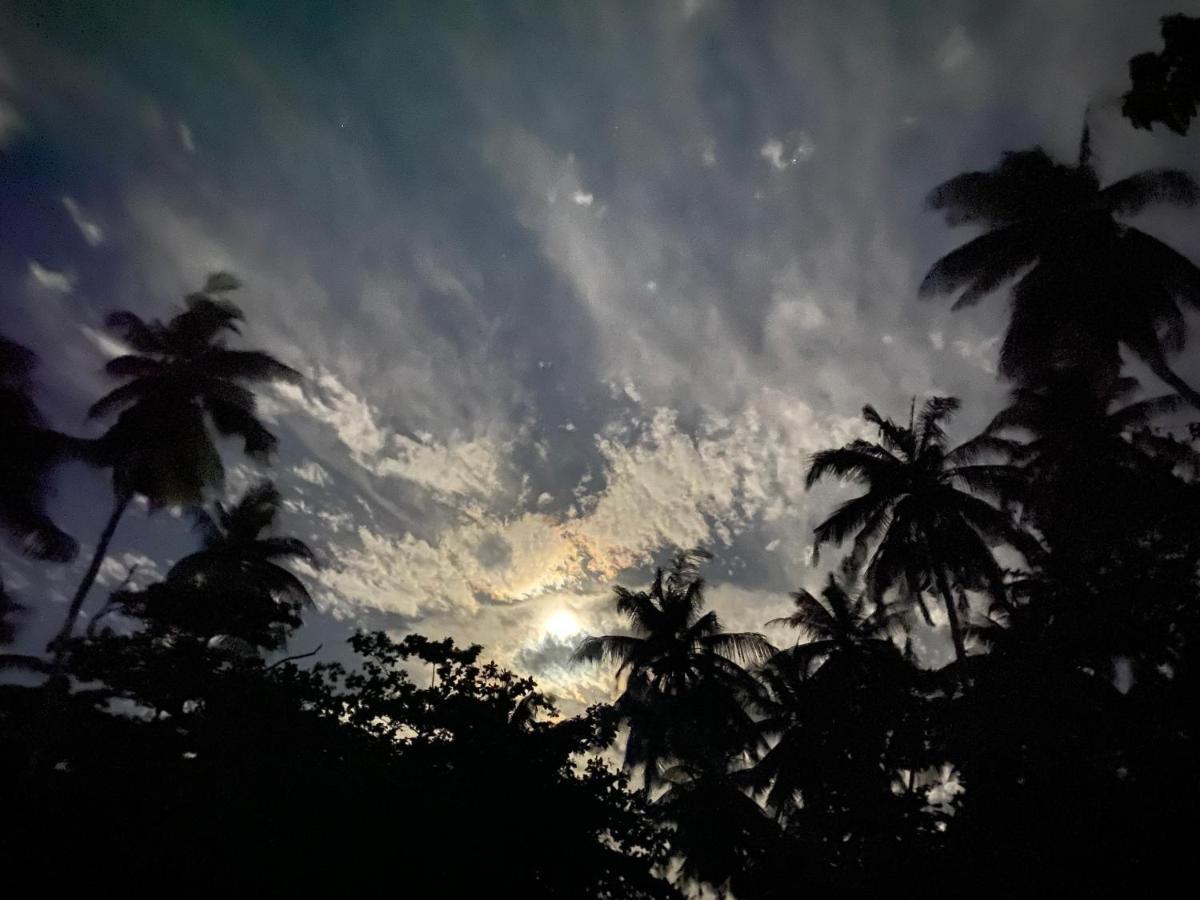 Oasis Village Fenfushi, Maldives Luaran gambar