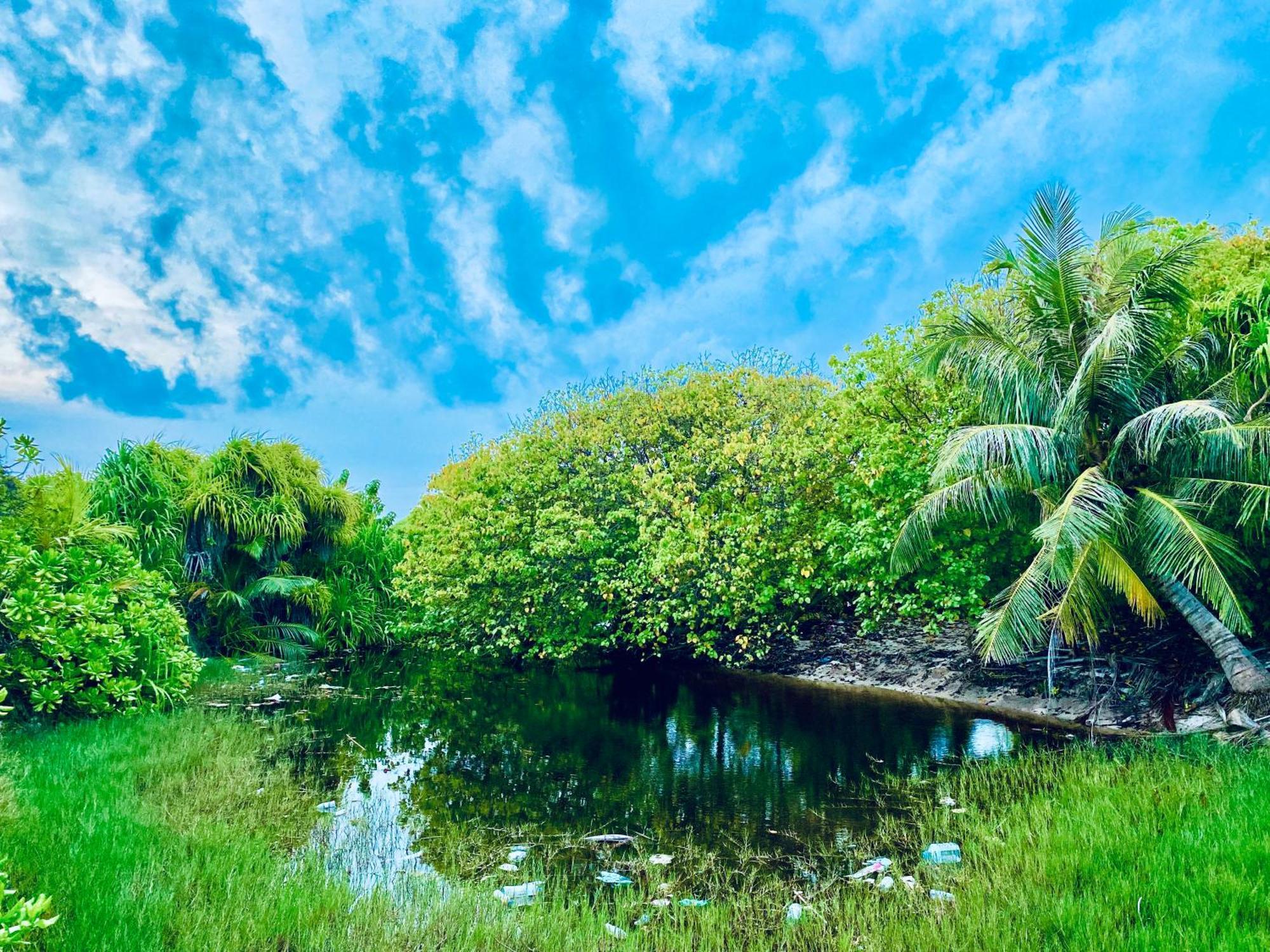 Oasis Village Fenfushi, Maldives Luaran gambar