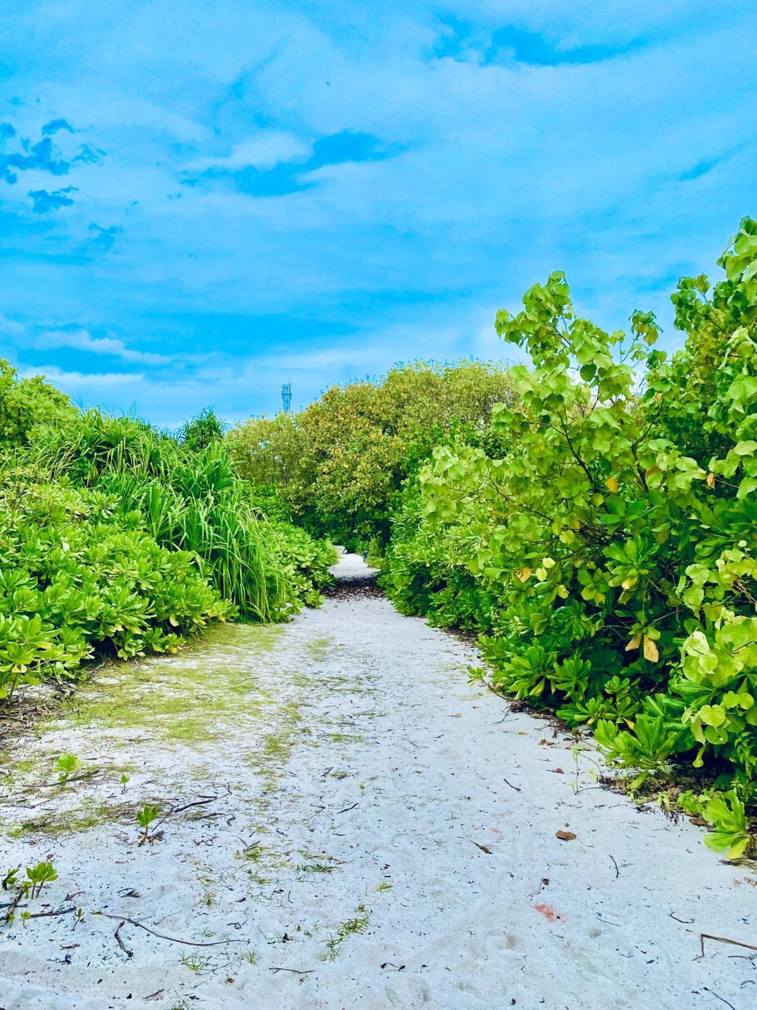 Oasis Village Fenfushi, Maldives Luaran gambar