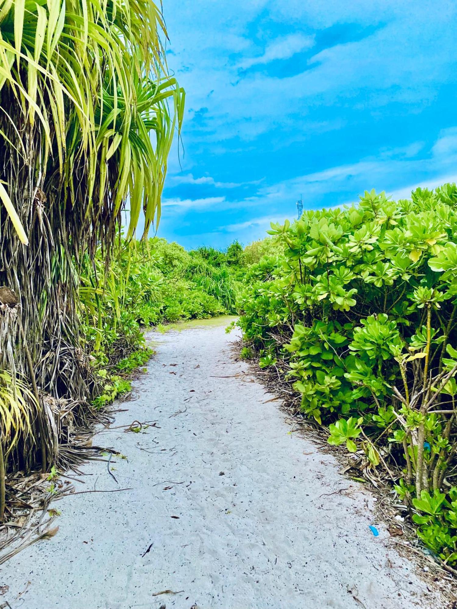 Oasis Village Fenfushi, Maldives Luaran gambar